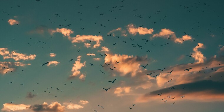 Join the Capture Clouds Photo Contest and win Moment Wide 18mm Lens ...